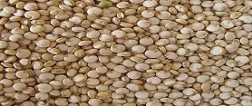 Quinoa benefits