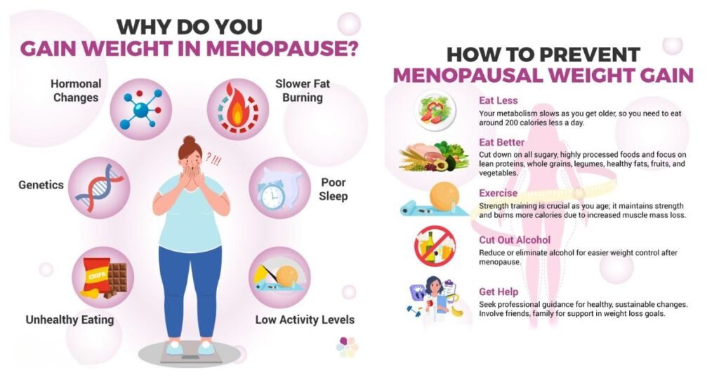 Menopause Weight Gain Explained